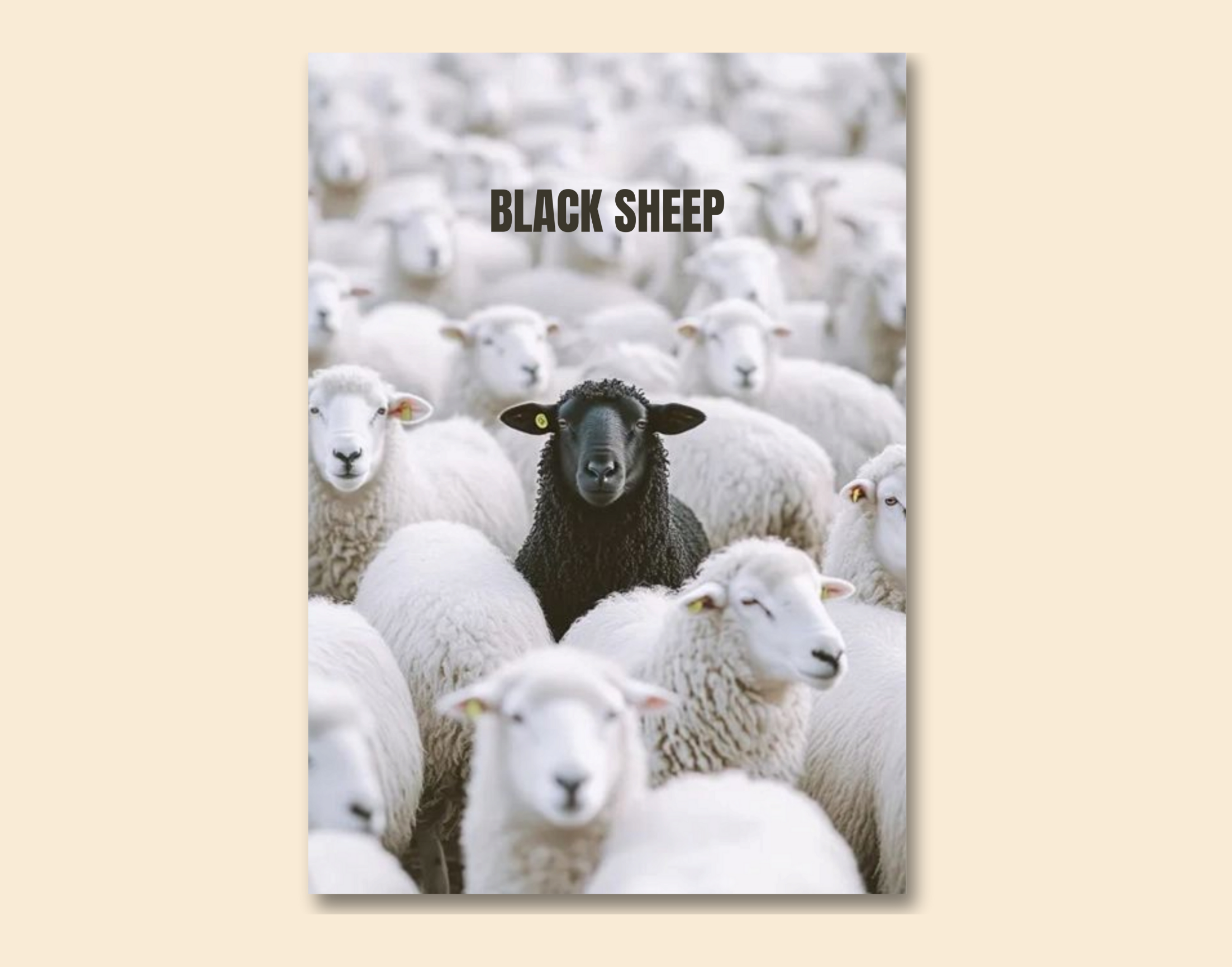"Stand Out In The crowd #Black Sheep"- Shiny & Sturdy Metallic Poster Art That Pops & Sticks
