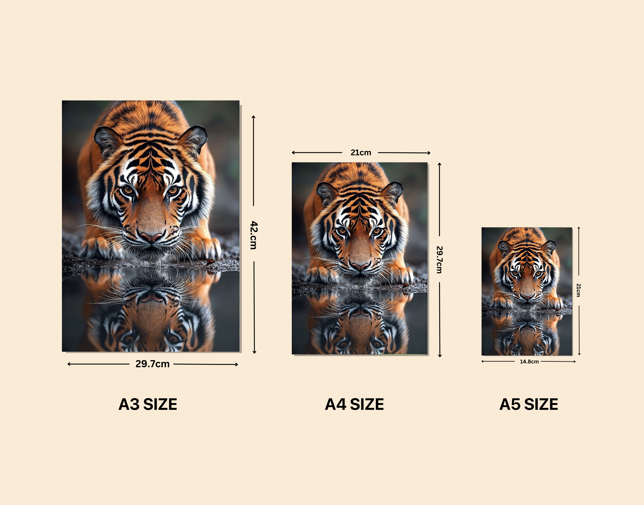 "Tiger Thirst Trap"- Shiny & Sturdy Metallic Poster Art That Pops & Sticks