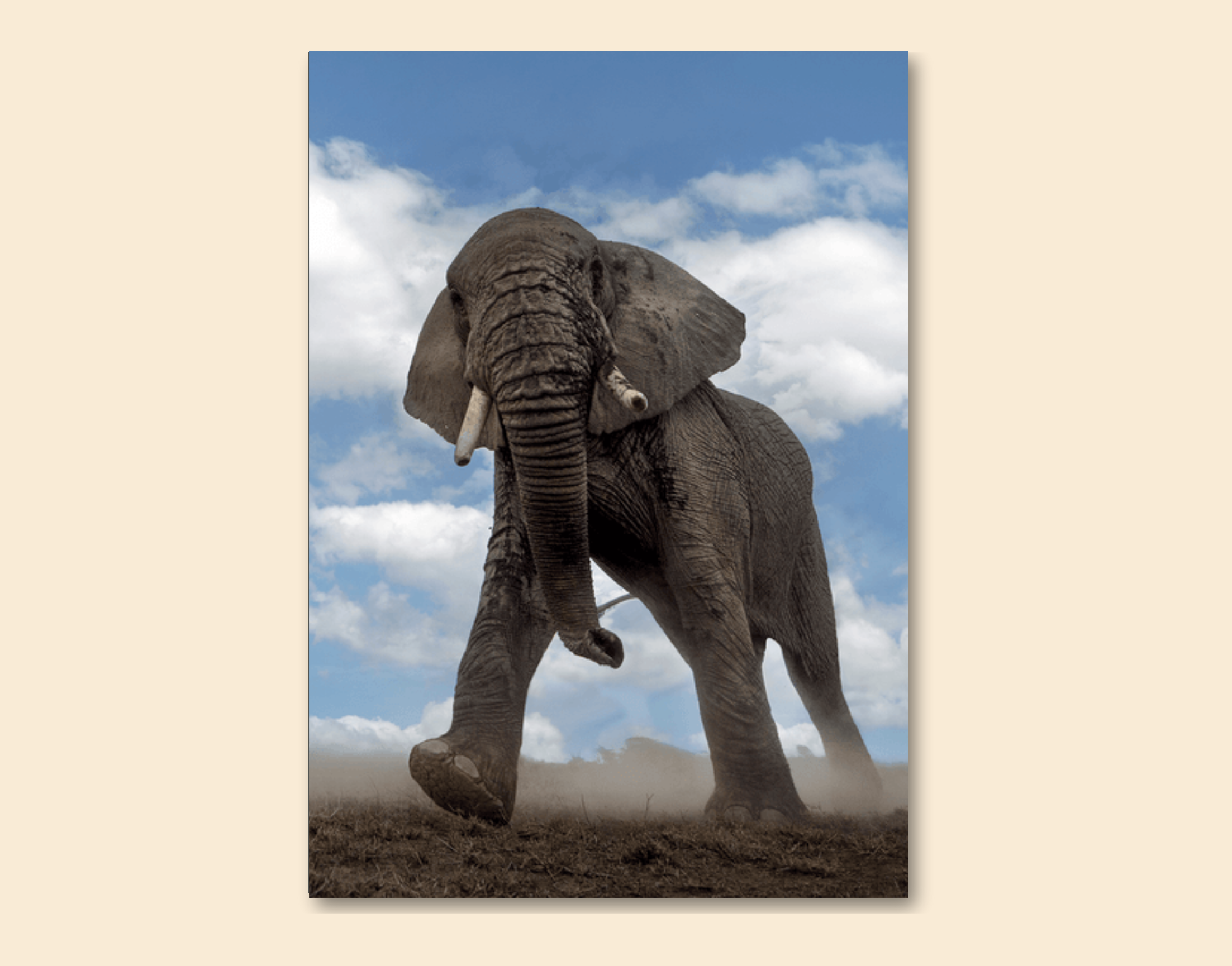 "Elephant In The Wild"- Shiny & Sturdy Metallic Poster Art That Pops & Sticks