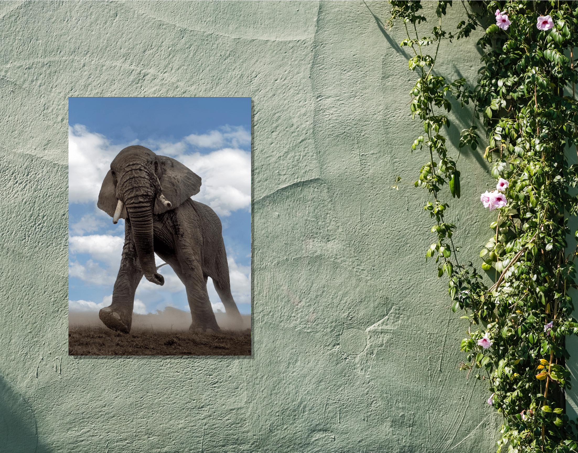 "Elephant In The Wild"- Shiny & Sturdy Metallic Poster Art That Pops & Sticks