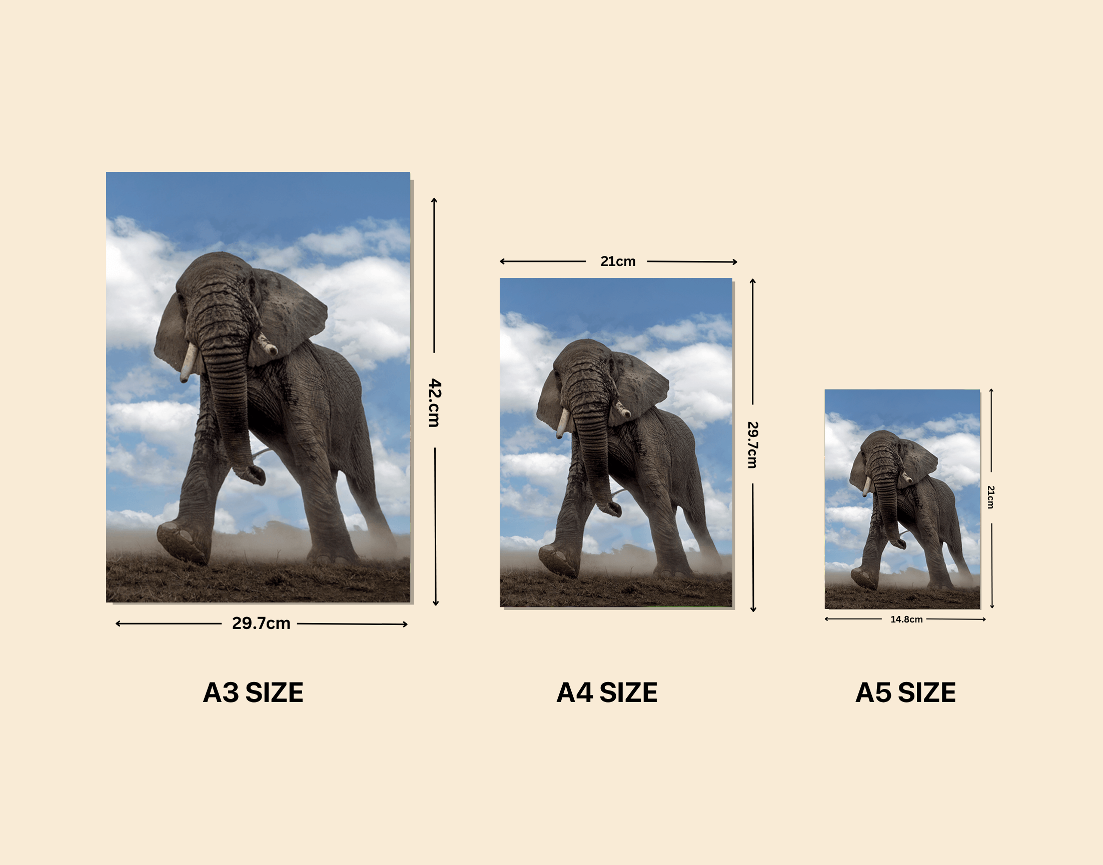 "Elephant In The Wild"- Shiny & Sturdy Metallic Poster Art That Pops & Sticks