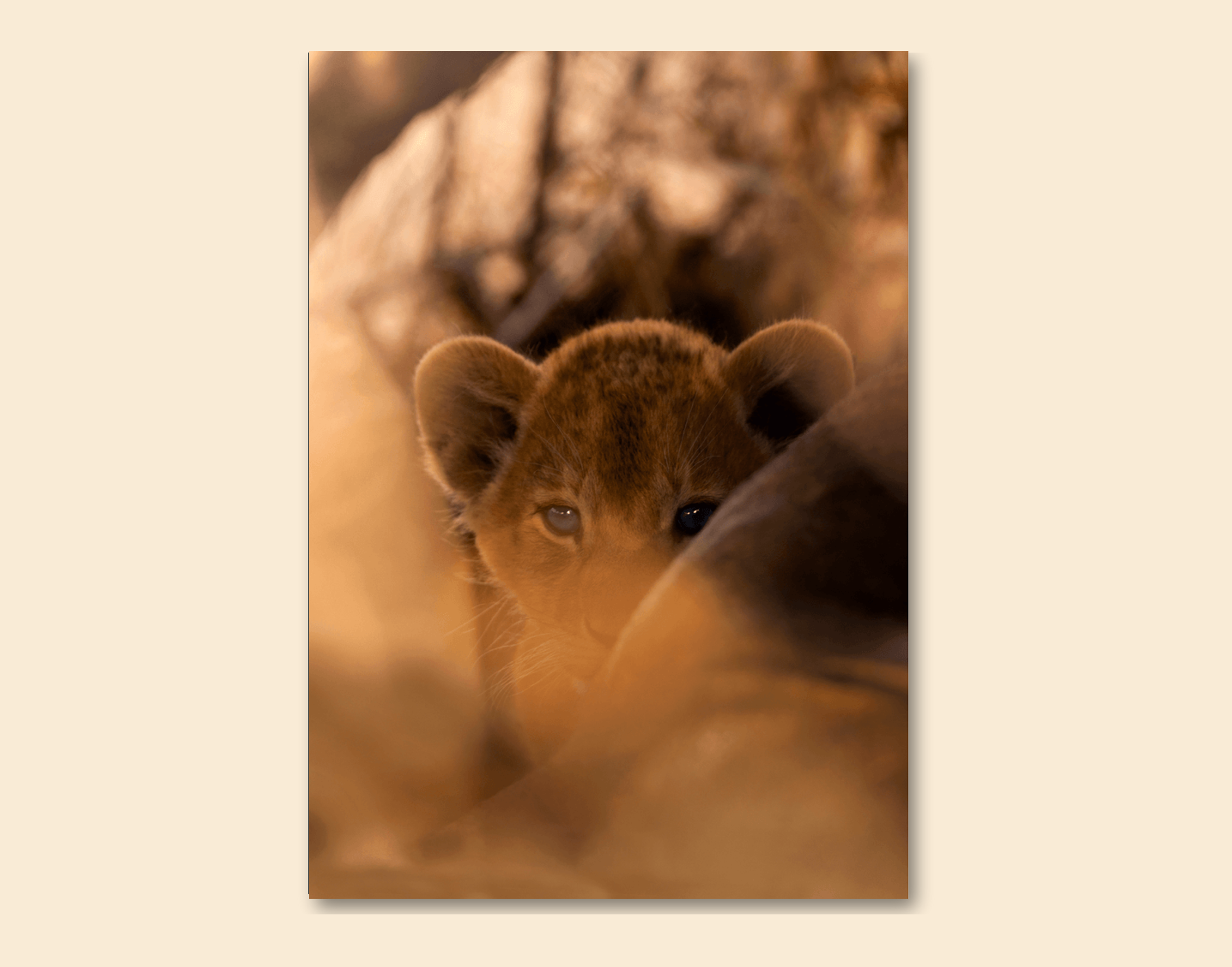 "Cub Lion"- Shiny & Sturdy Metallic Poster Art That Pops & Sticks