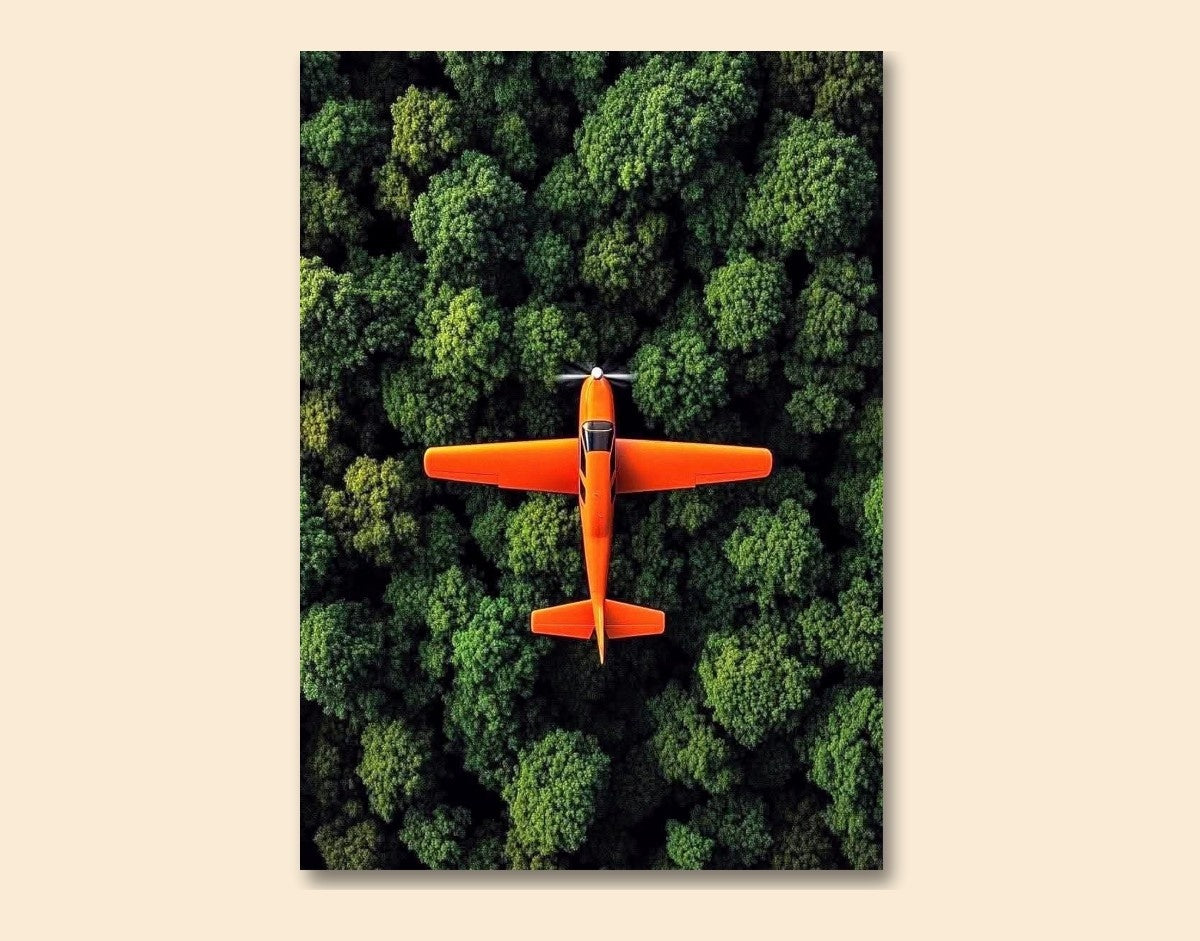 "Orange Skyplane"- Shiny & Sturdy Metallic Poster Art That Pops & Sticks