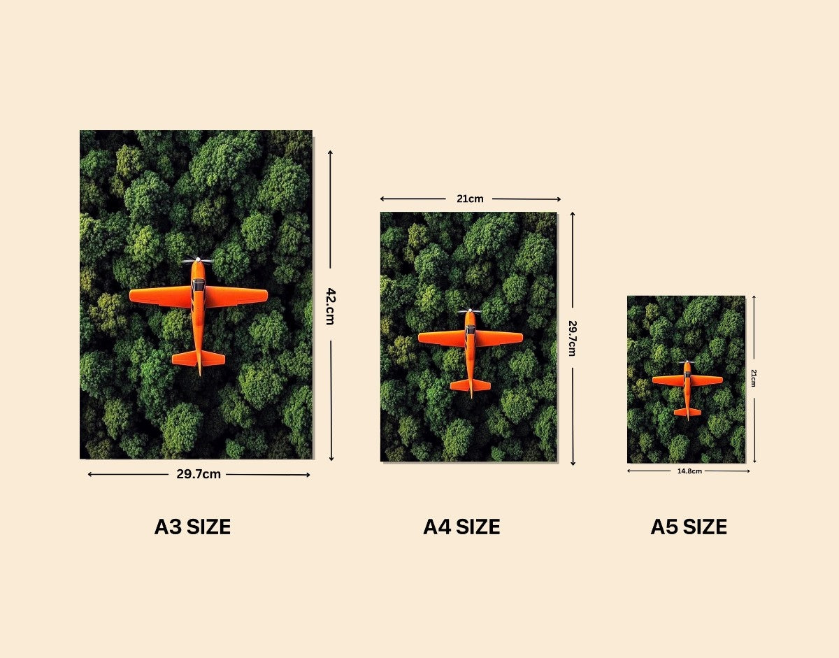 "Orange Skyplane"- Shiny & Sturdy Metallic Poster Art That Pops & Sticks