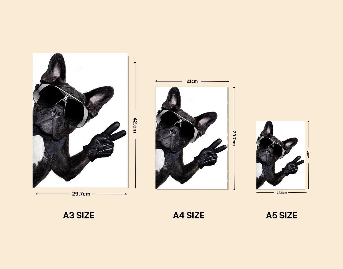 "Cool Bulldog"- Shiny & Sturdy Metallic Poster Art That Pops & Sticks