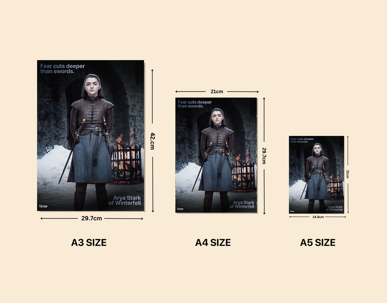 "ARYA STARK " -Shiny & Sturdy Metallic Poster Art That Pops & Sticks