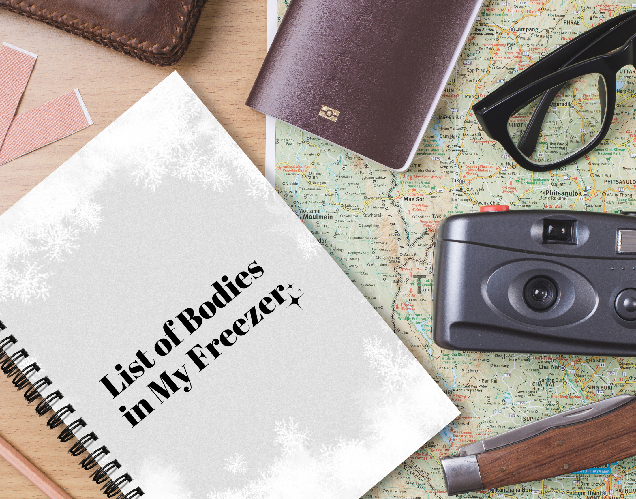 "LIST OF BODIES IN MY FREEZER" Elegant & Inspiring Diary for Daily Reflection