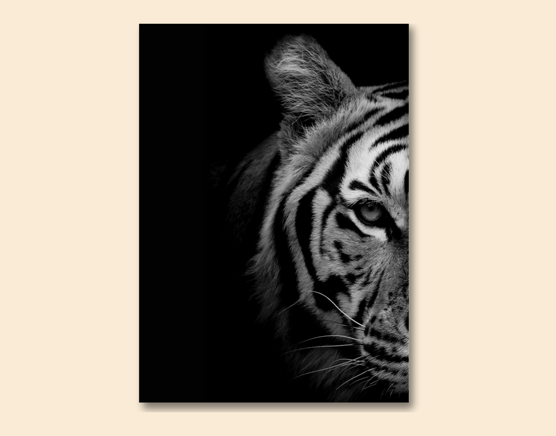 "In The Wild: Tiger"- Shiny & Sturdy Metallic Poster  Art That Pops & Sticks