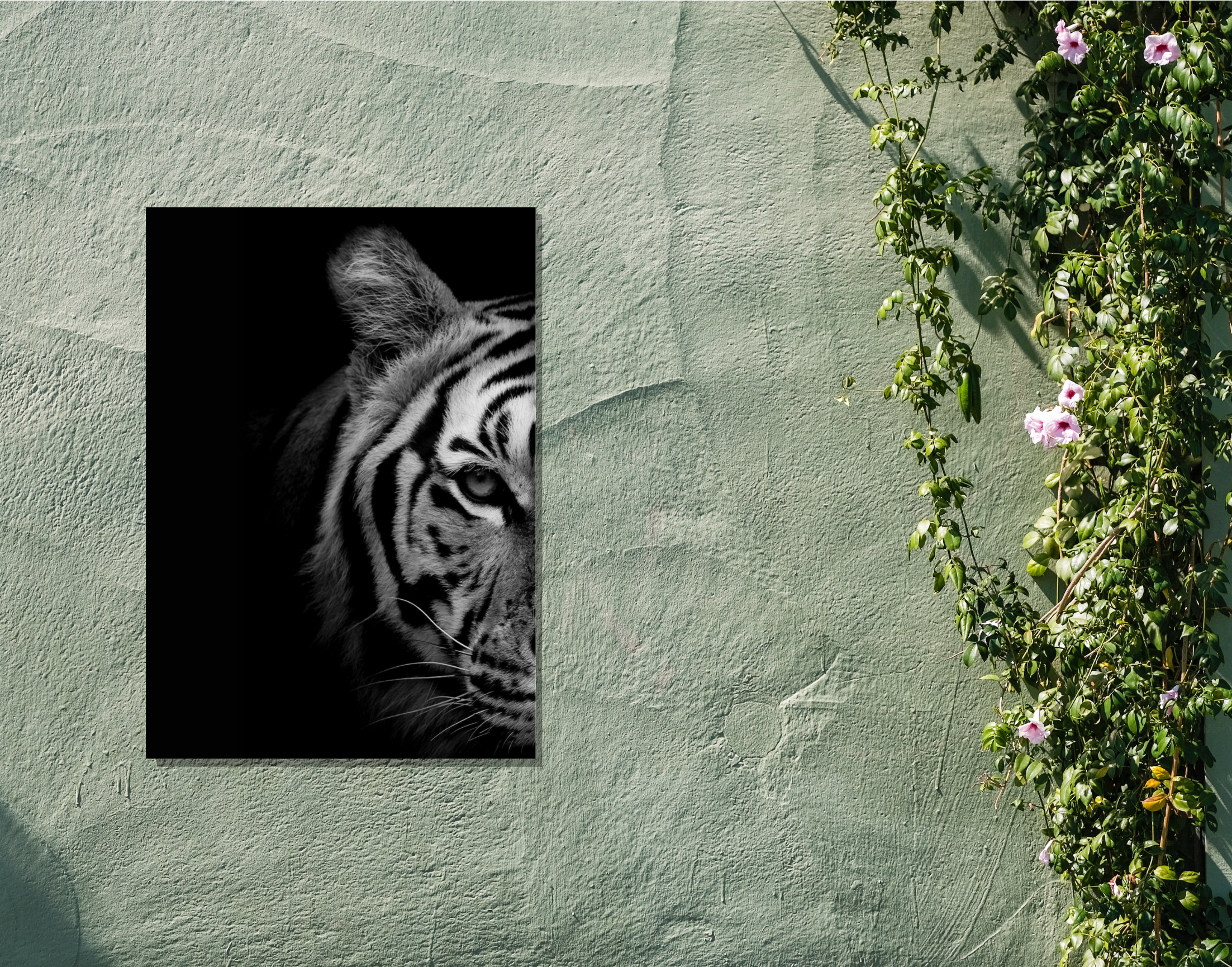 "In The Wild: Tiger"- Shiny & Sturdy Metallic Poster  Art That Pops & Sticks
