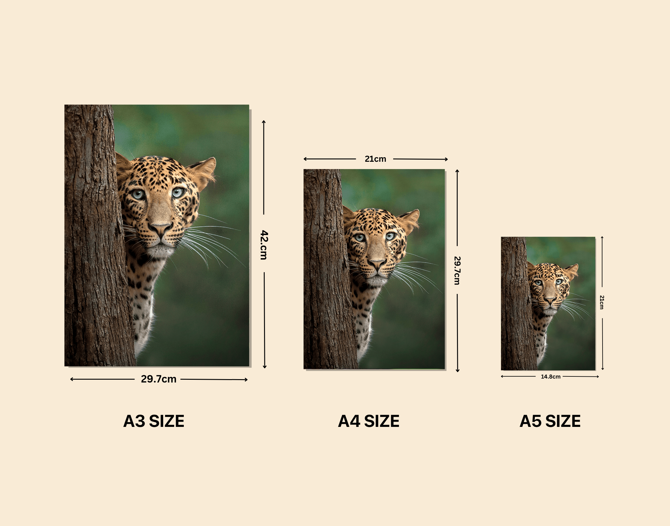 "Cheetah- Behind The Tree"- Shiny & Sturdy Metallic Poster  Art That Pops & Sticks