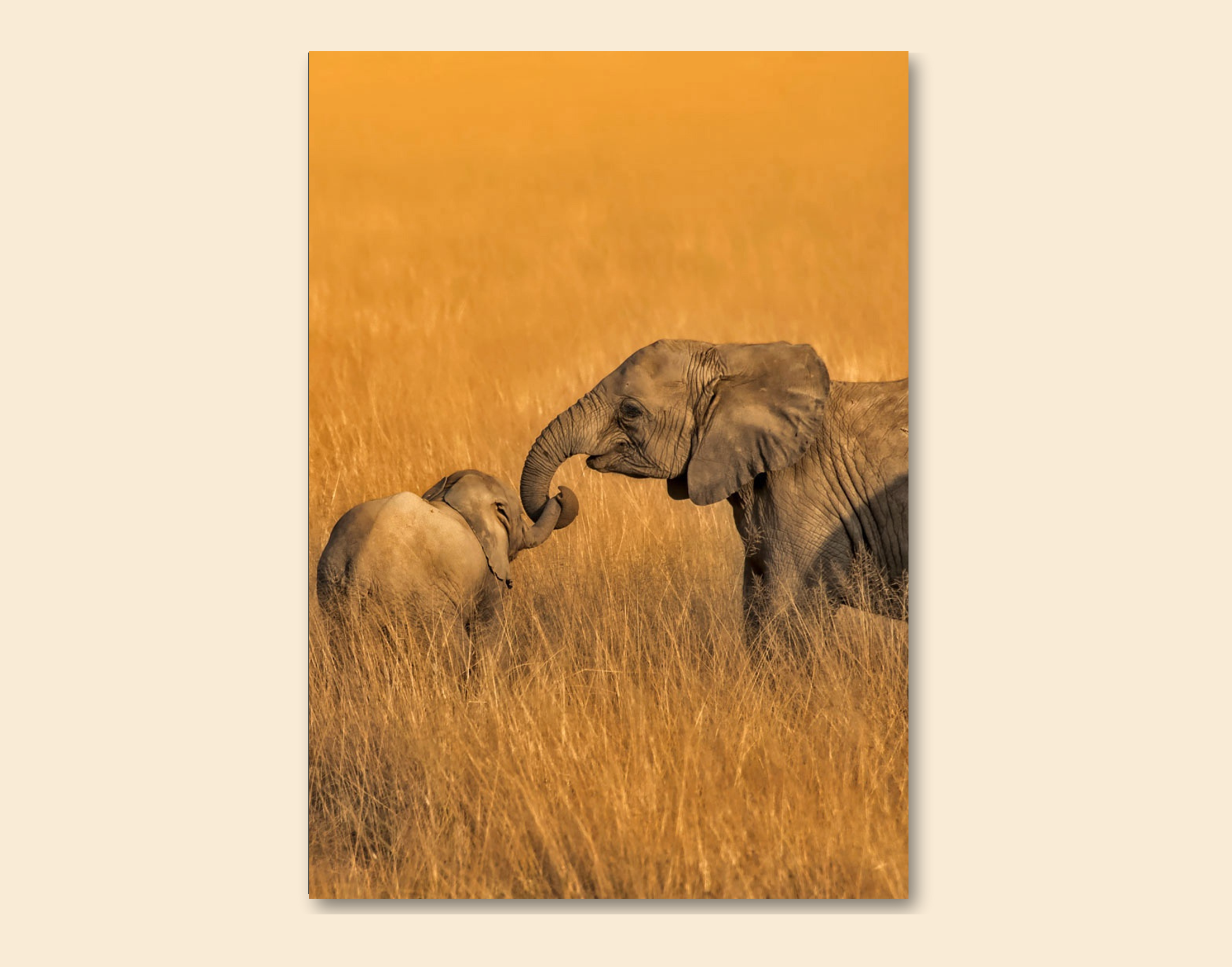 "Elephant and Calf In the Wild"- Shiny & Sturdy Metallic Poster  Art That Pops & Sticks
