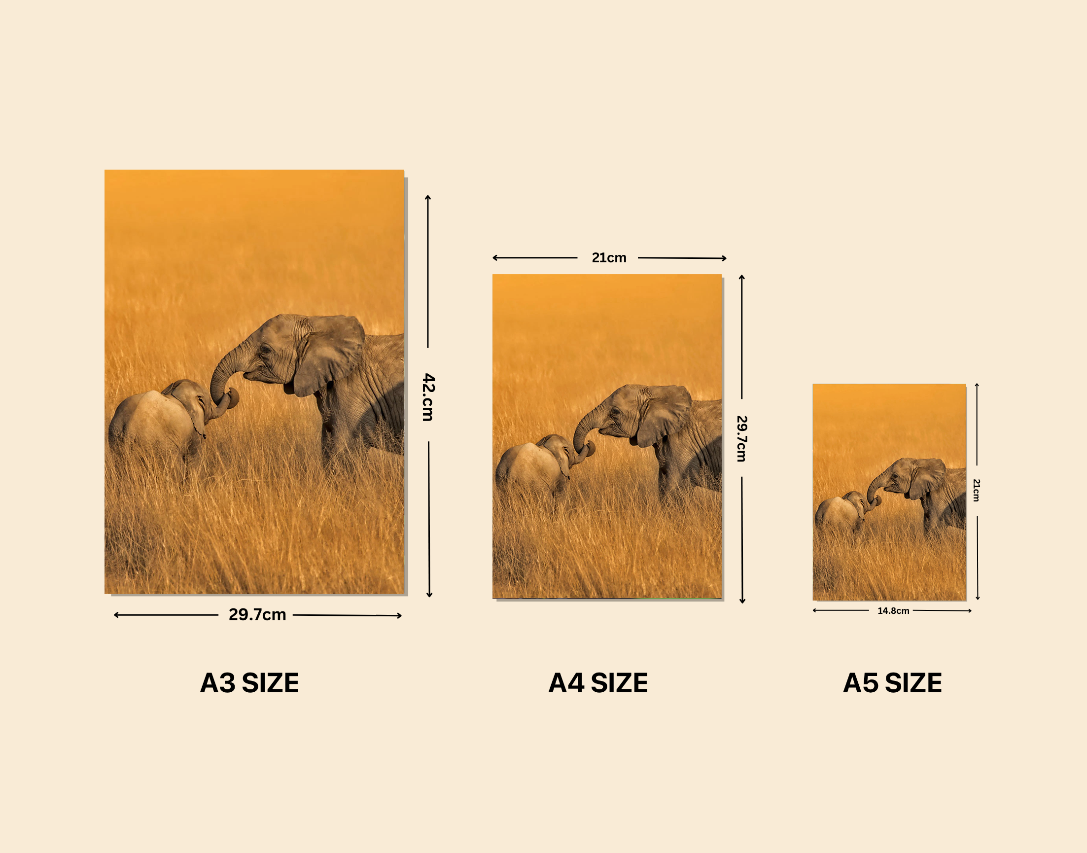 "Elephant and Calf In the Wild"- Shiny & Sturdy Metallic Poster  Art That Pops & Sticks