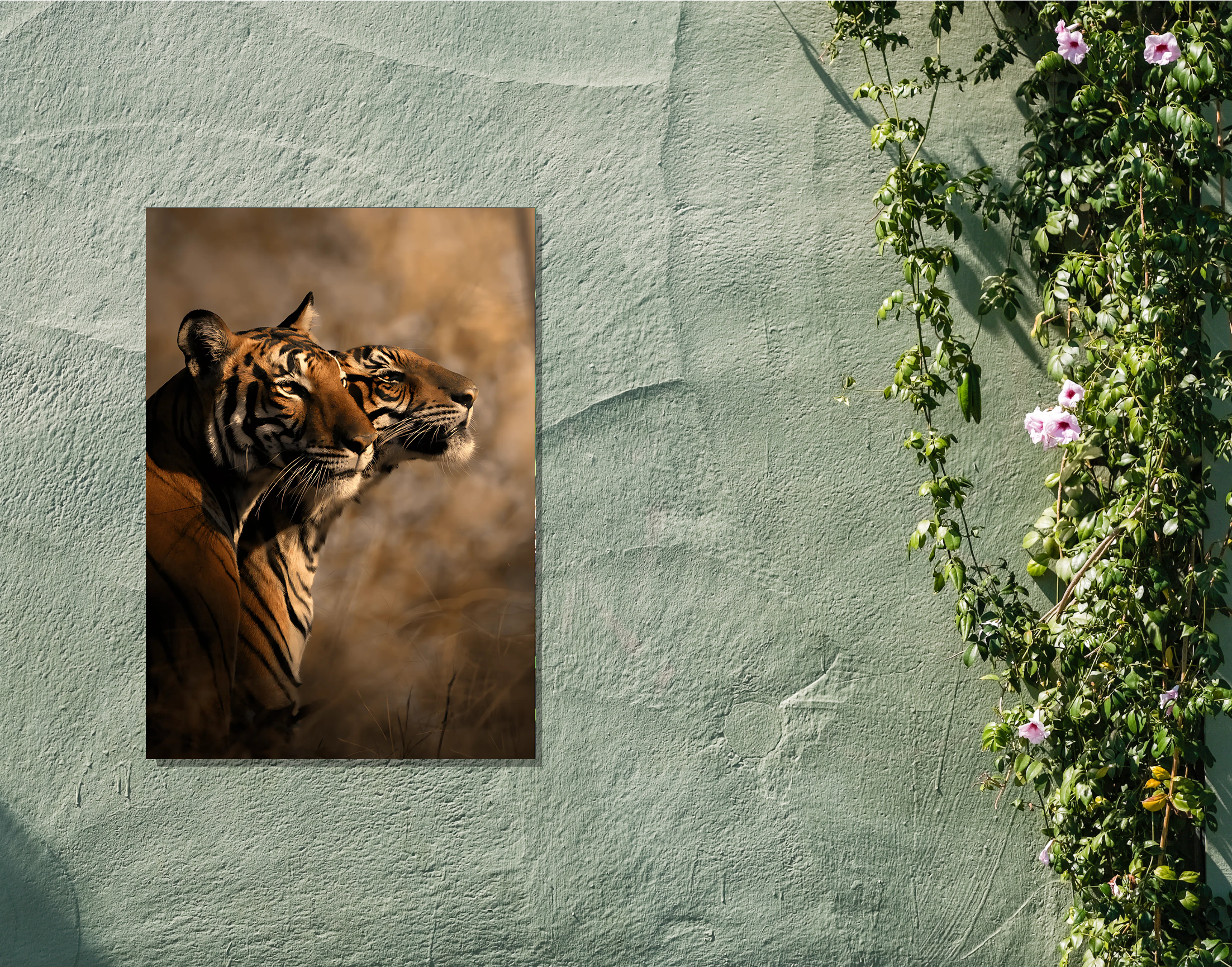 "Animal Love-Tiger Love"- Shiny & Sturdy Metallic Poster  Art That Pops & Sticks