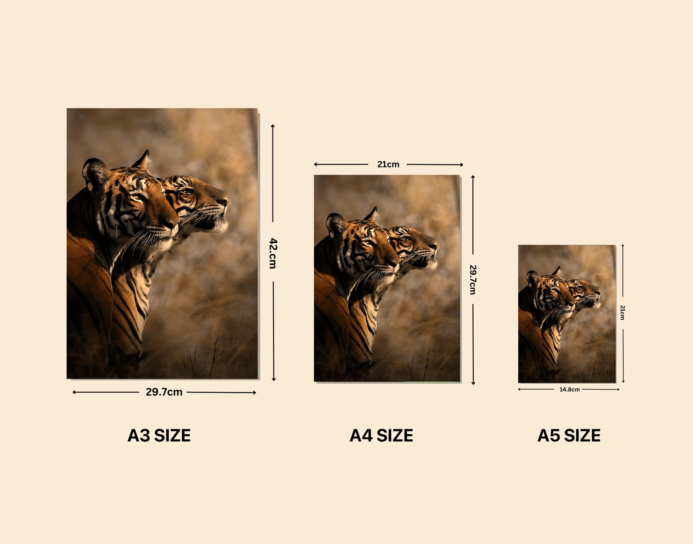 "Animal Love-Tiger Love"- Shiny & Sturdy Metallic Poster  Art That Pops & Sticks
