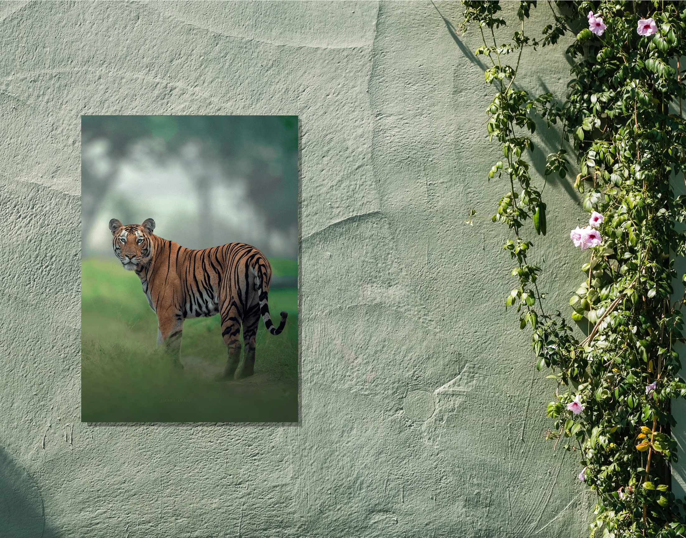 "Tiger In The Forest"- Shiny & Sturdy Metallic Poster  Art That Pops & Sticks