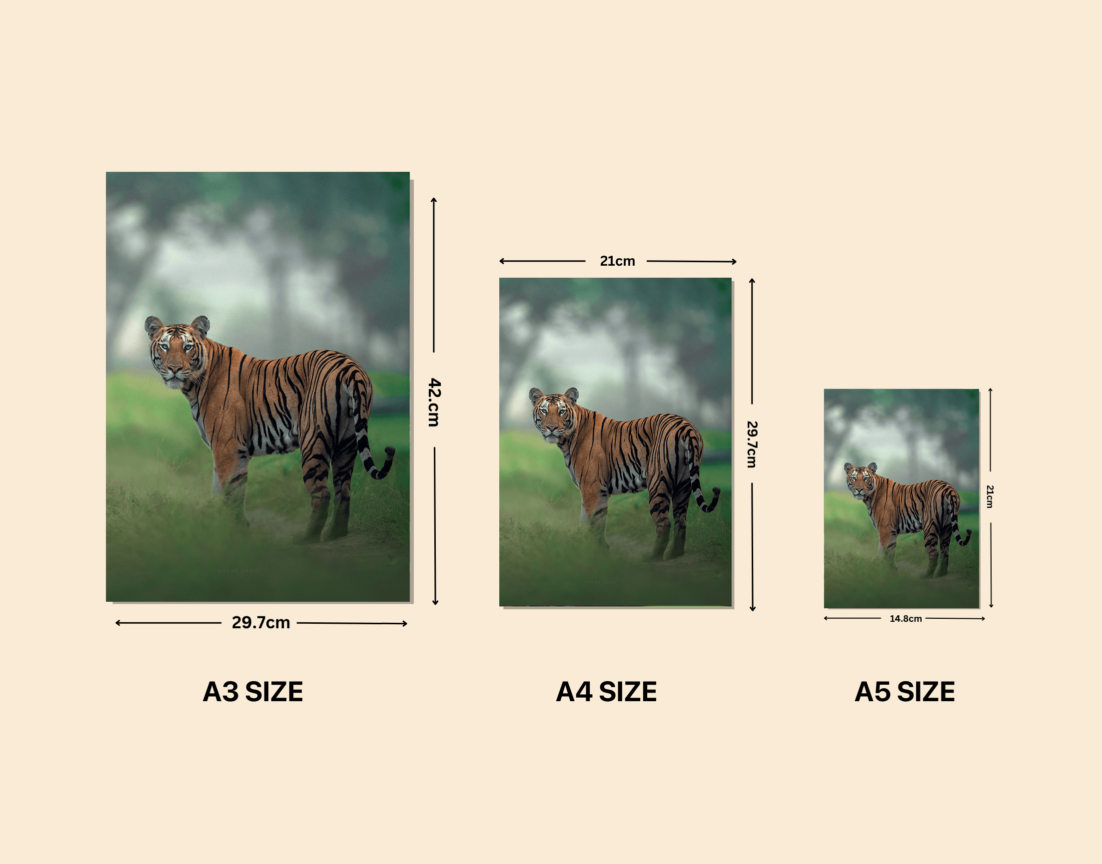 "Tiger In The Forest"- Shiny & Sturdy Metallic Poster  Art That Pops & Sticks