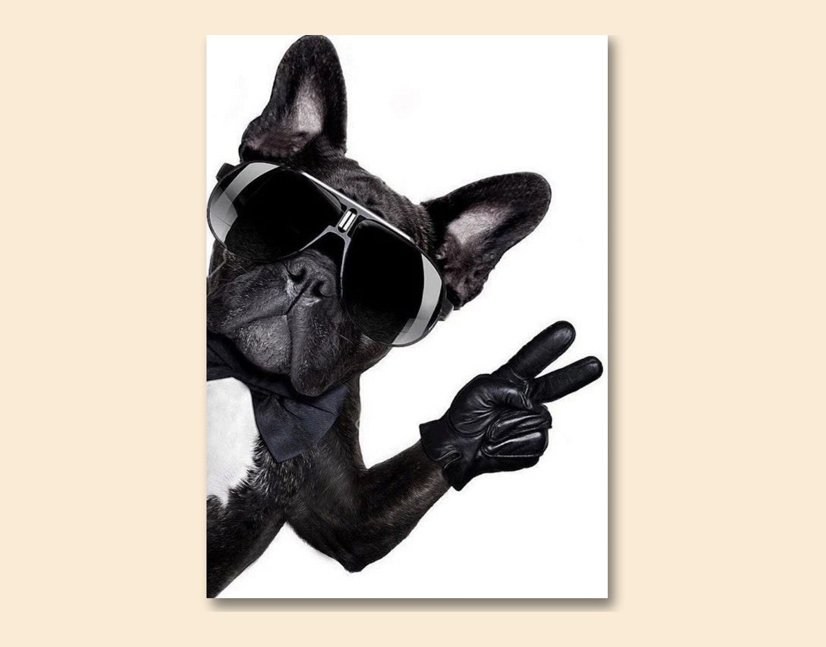 "Cool Bulldog"- Shiny & Sturdy Metallic Poster  Art That Pops & Sticks