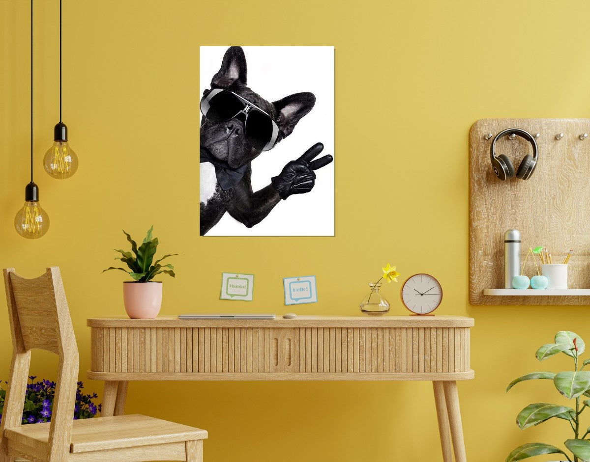 "Cool Bulldog"- Shiny & Sturdy Metallic Poster  Art That Pops & Sticks