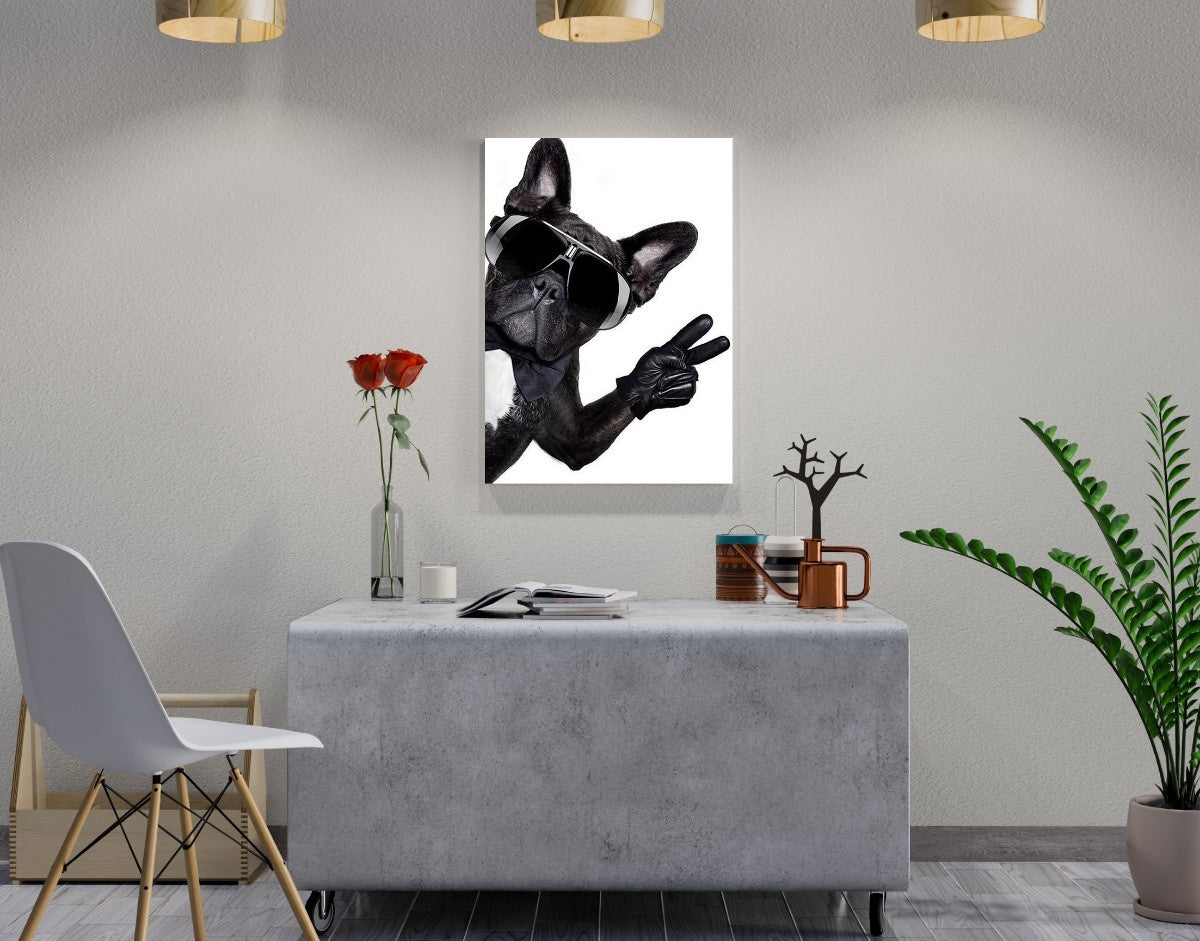 "Cool Bulldog"- Shiny & Sturdy Metallic Poster  Art That Pops & Sticks